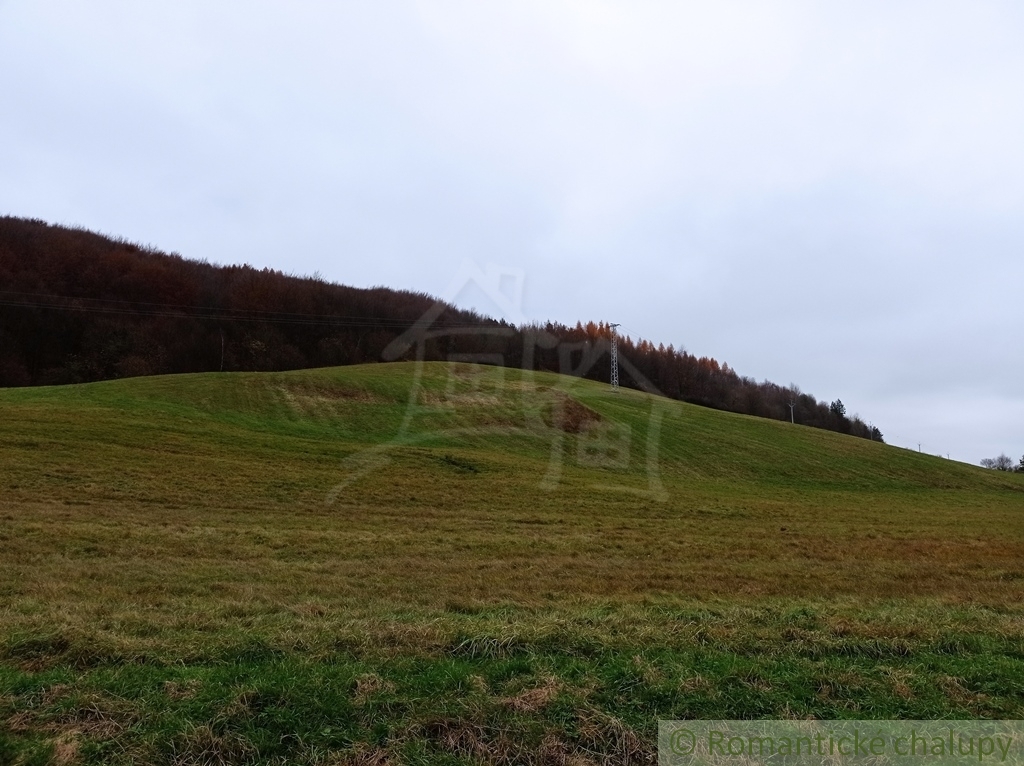 Veľký (86á) pozemok na okraji obce Papín/ Humenné