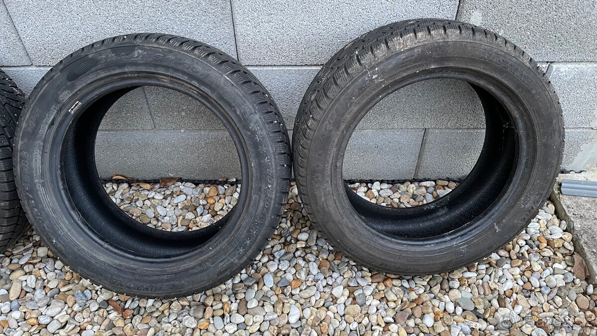 Zimné Austone 195/55 R15