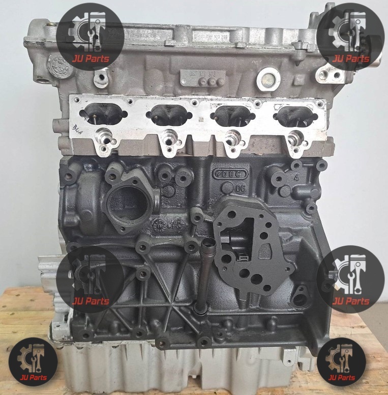 Motor 2.0 TFSI TSI AXX Repas