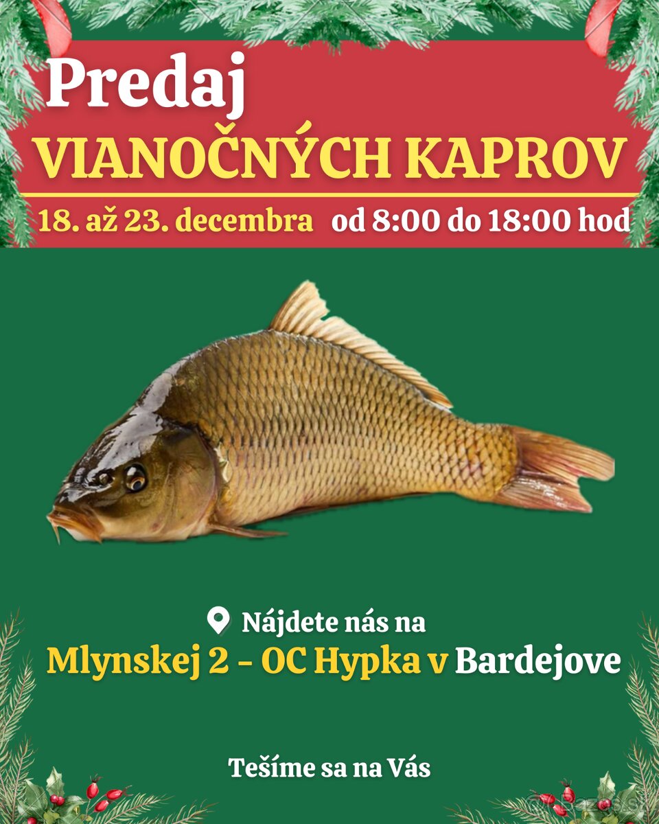 PREDAJ VIANOČNÝCH KAPROV - BARDEJOV