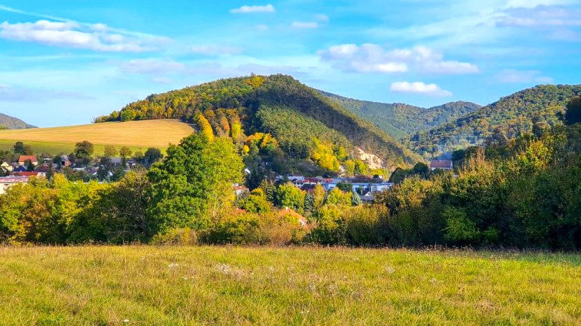 Brezová pod Bradlom - 6.300 m2 ORNÁ PÔDA a LES – PREDAJ