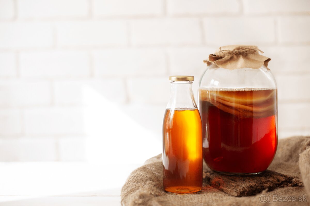 kombucha scoby