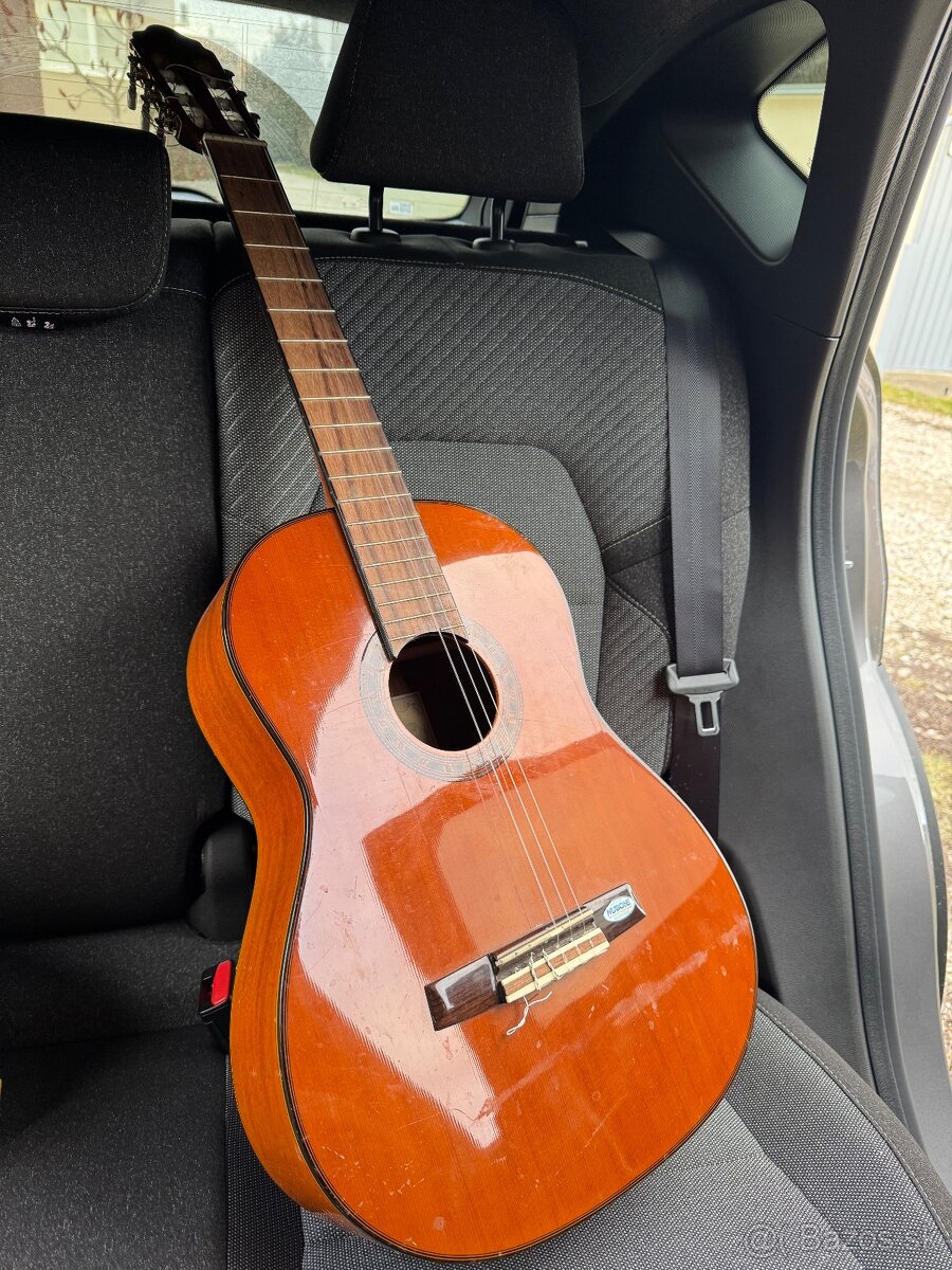 Gitara Valencia CG190