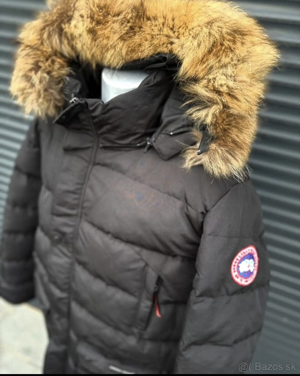 Panska Bunda Canada Goose