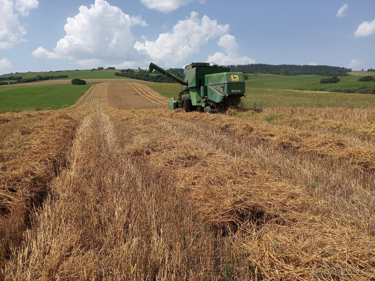 Jačmeň, Pšenica