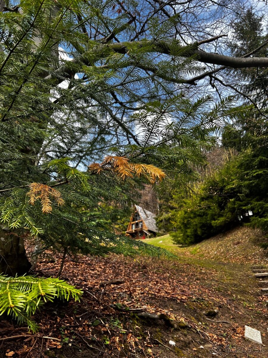 Predaj nová eko chata Donovaly, 370 m2 pozemok