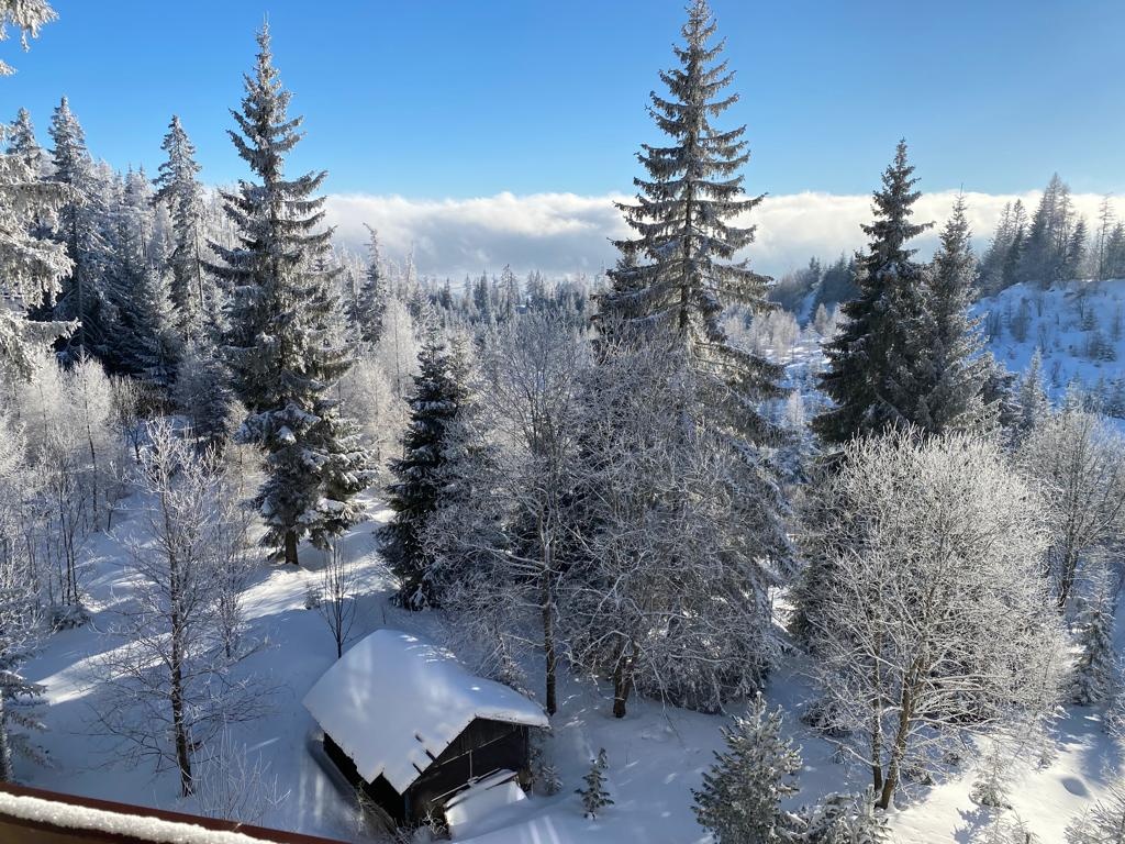 Predám byt na Štrbskom Plese