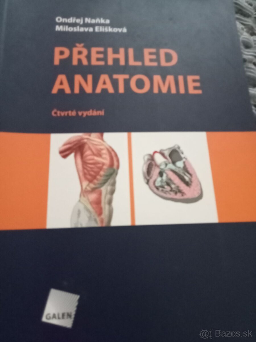 Přehled anatomie - O. Maňka, Elišková