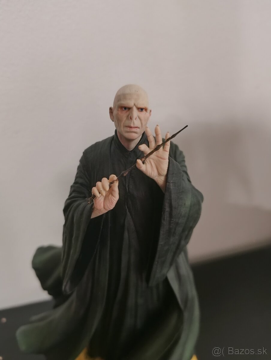 Harry Potter-Lord Voldemort