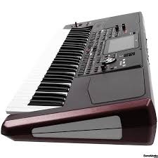 Korg pa1000  muzikant top