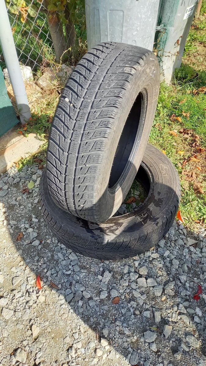 215/70r16 100H  nokian zimne