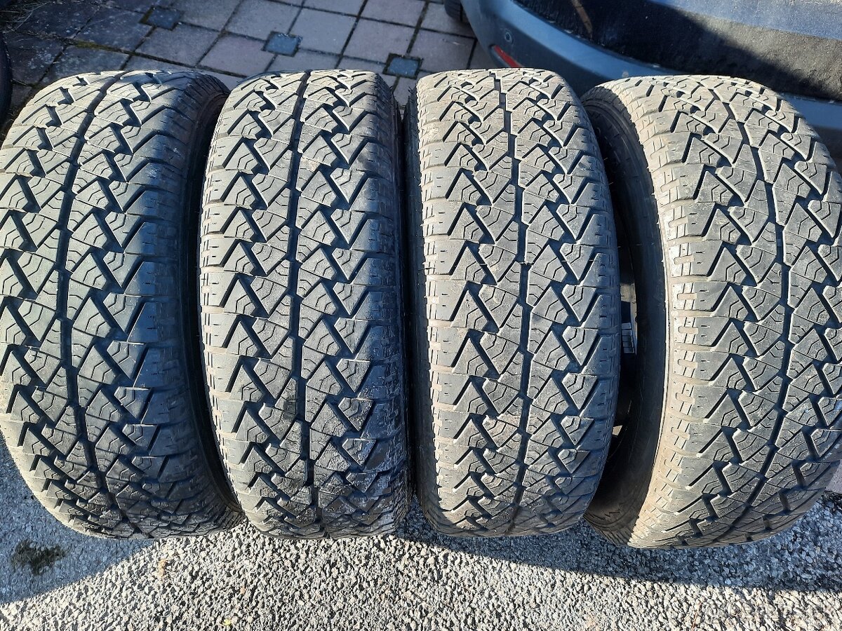 lletne 225/65 r17