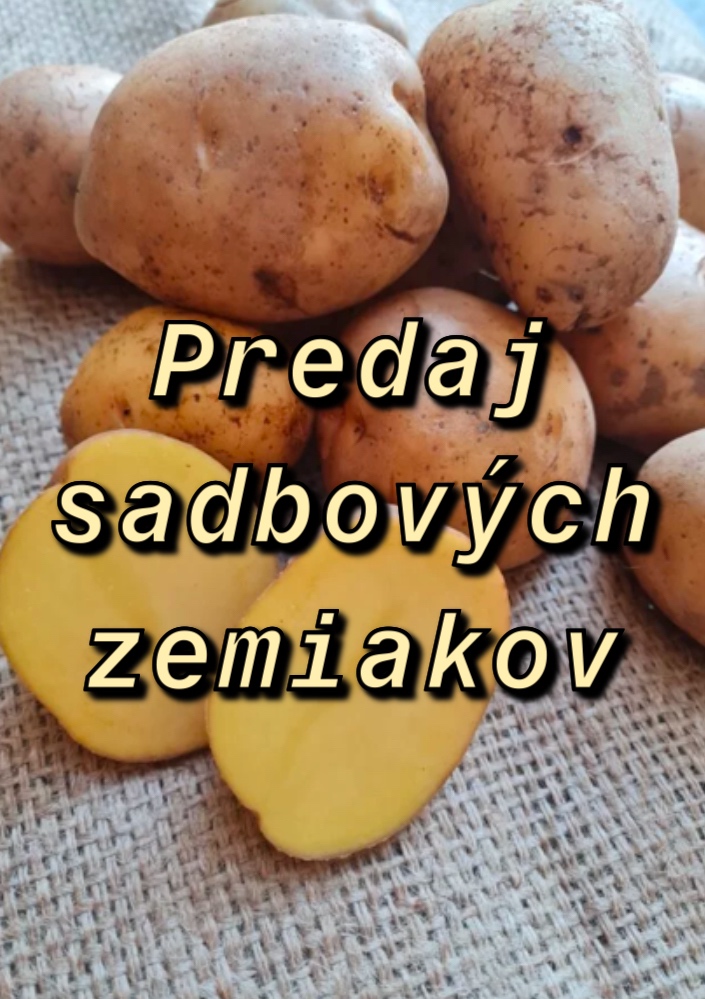 Sadbové zemiaky