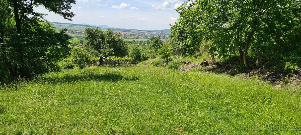 Predaj veľkého rekreačného pozemku