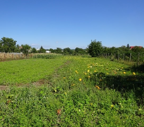 EXKLUZÍVNE, PEKNÝ 9,5á STAVEBNÝ POZEMOK LÚČNICA NAD ŽITAVOU