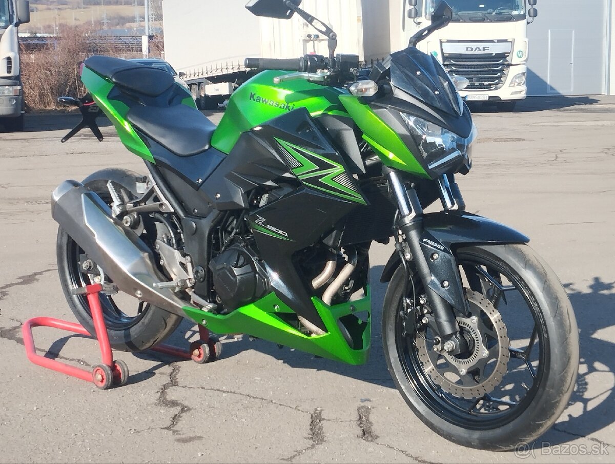 Kawasaki Z 300