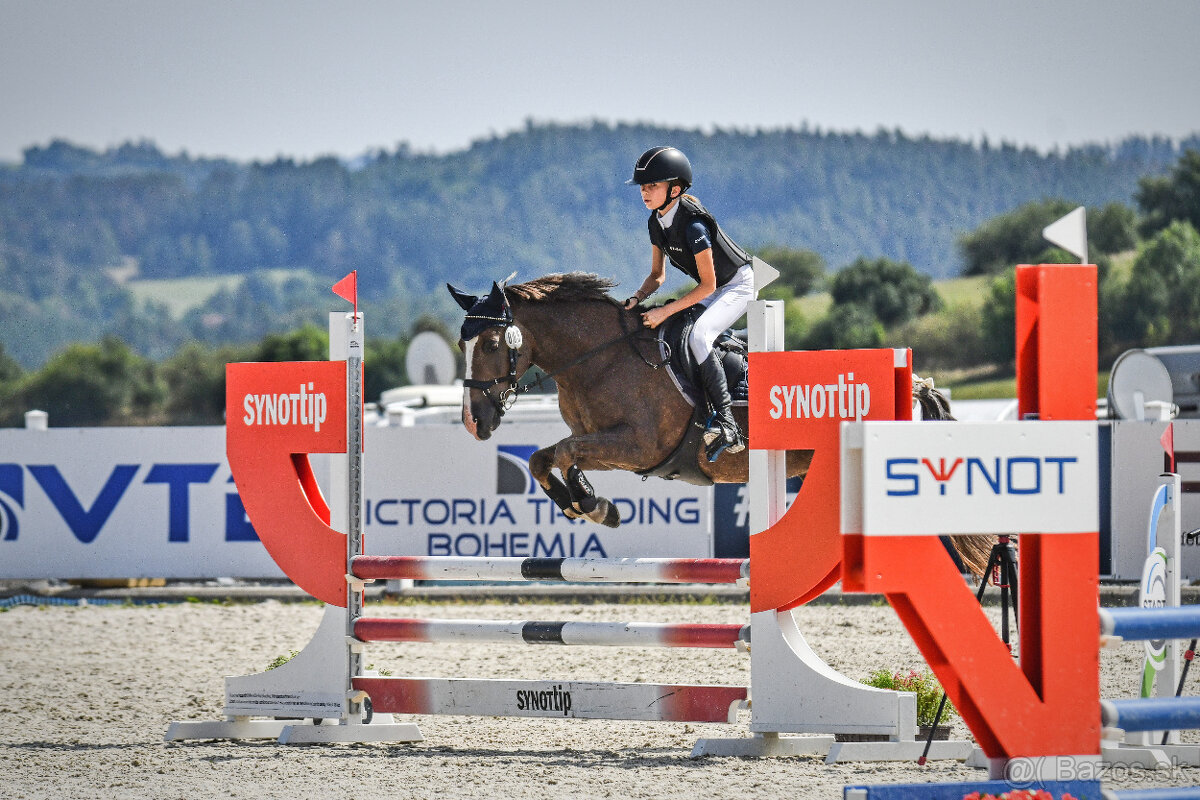 TOP pony klisna do sportu kat. A - 135cm - DOHODA O CENĚ Mož