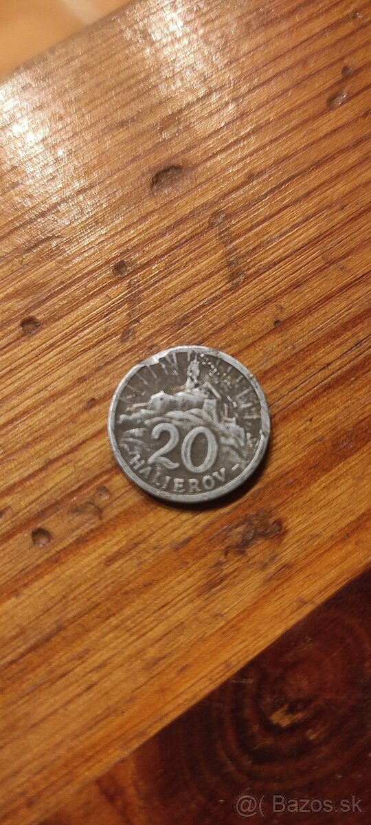 20 haliernik