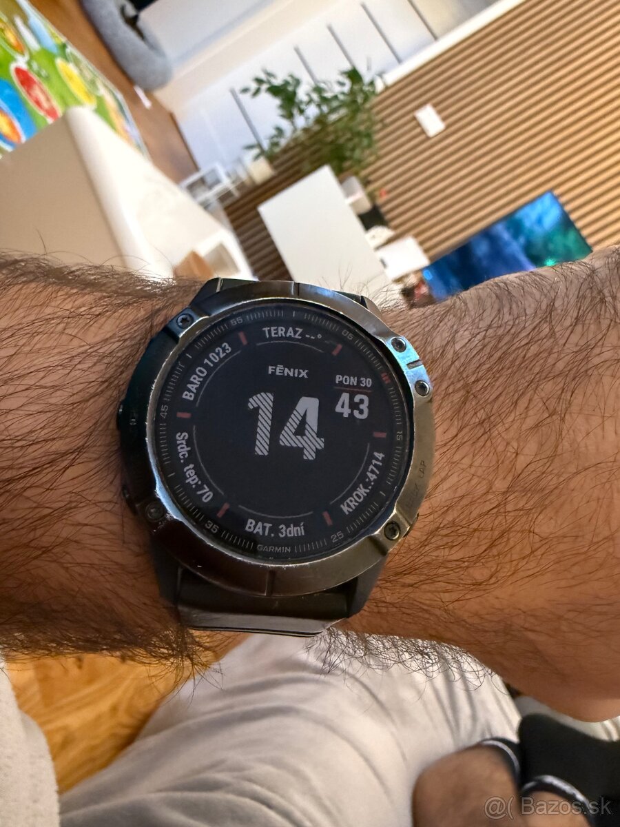 Garmin Fenix 6X Pro