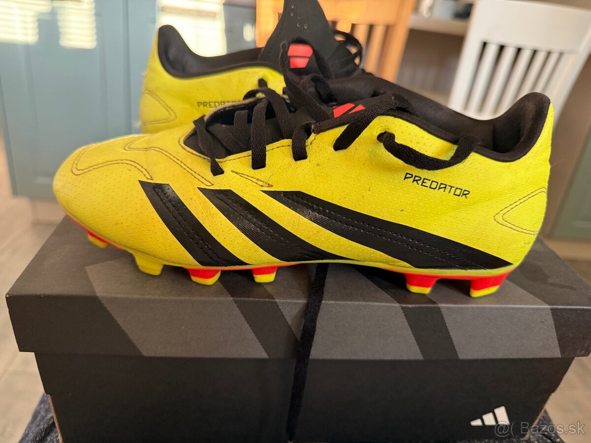 predam Adidas Predator 24 club 39 1/3