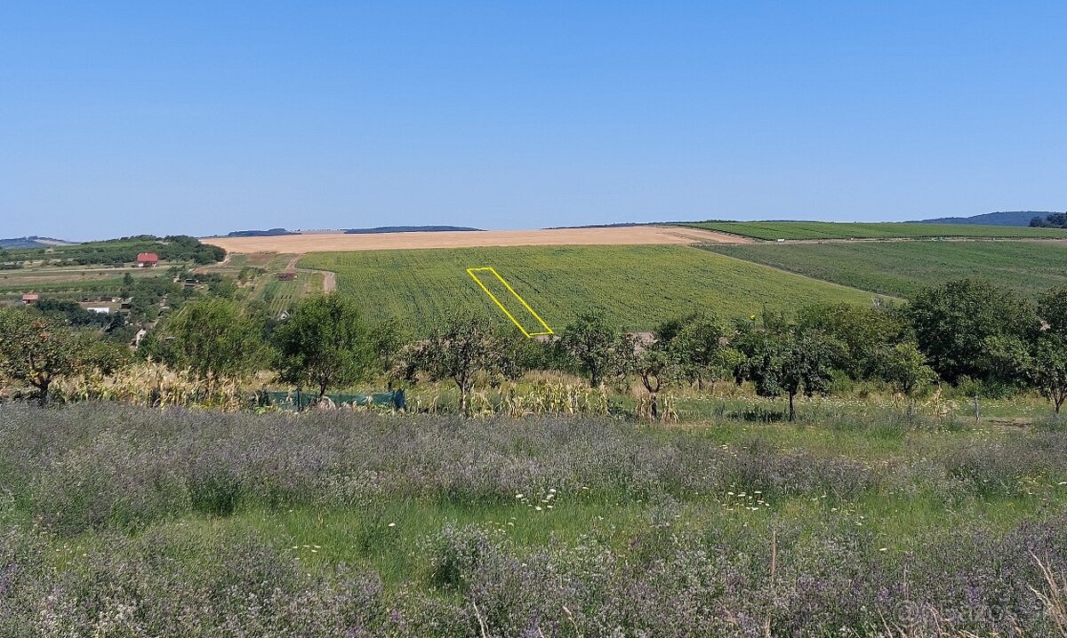 Na predaj široký pozemok v Skalici - 4,56 eur/m2