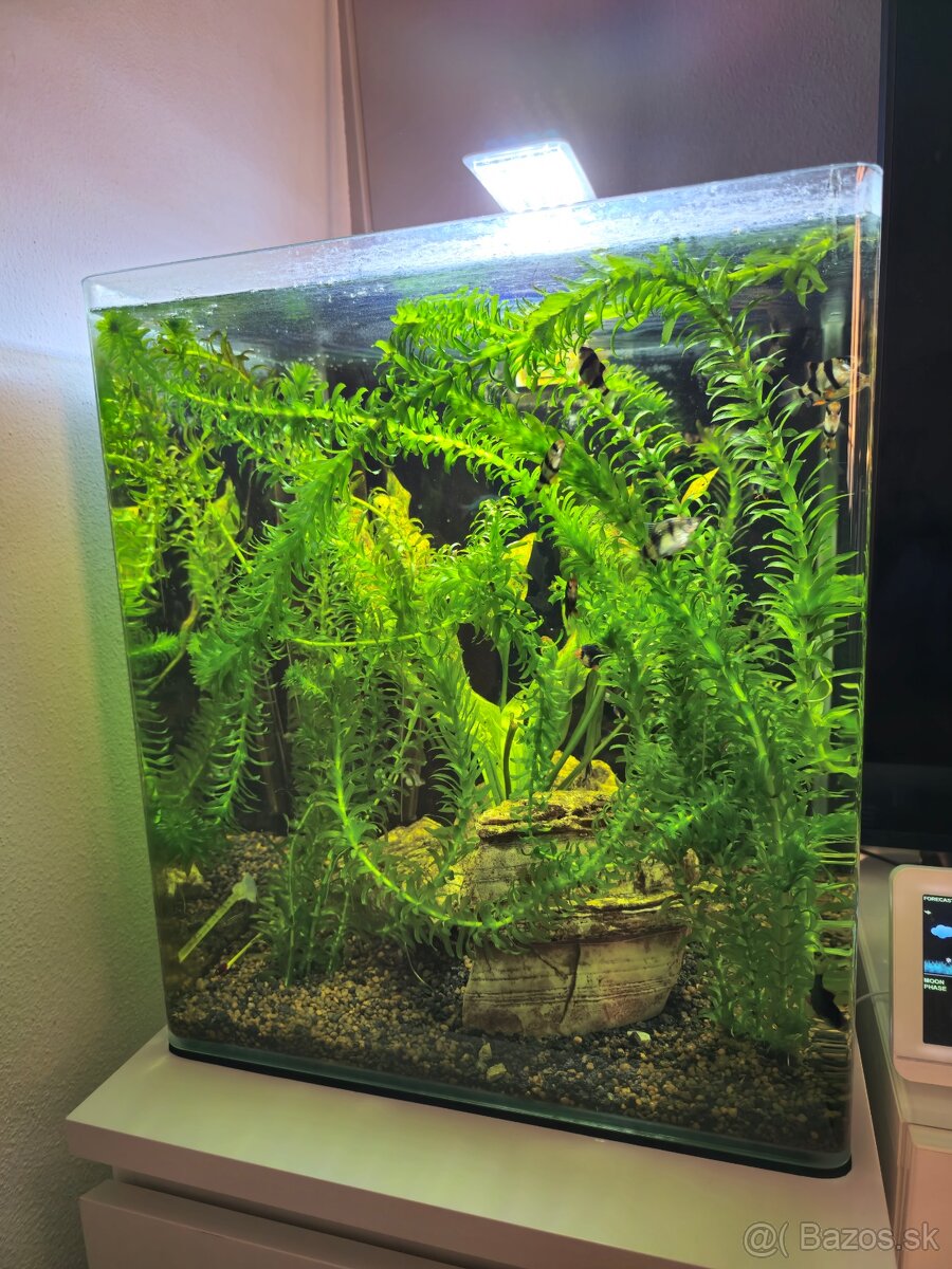 Akvarium 60l