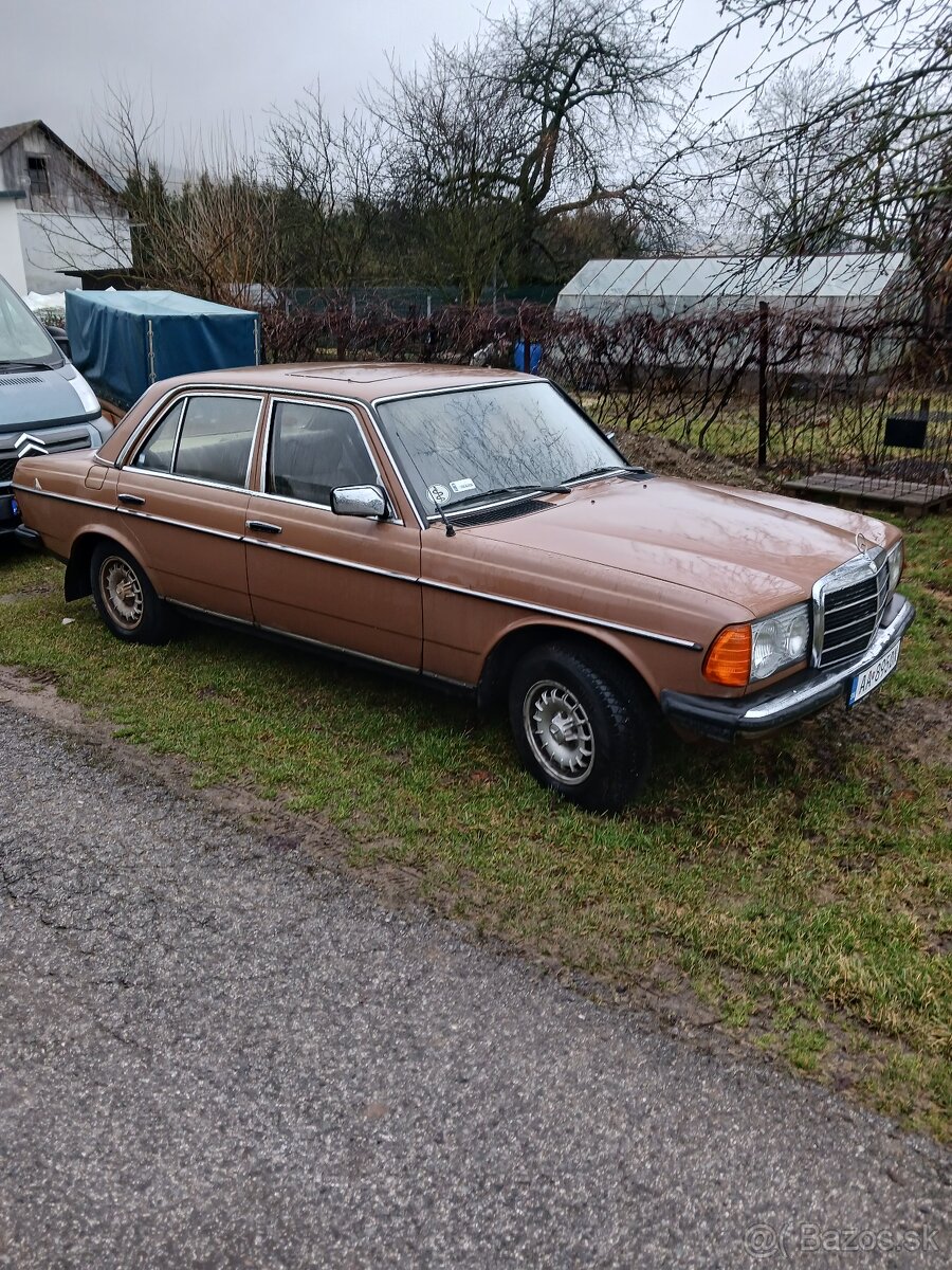 MERCEDES W123