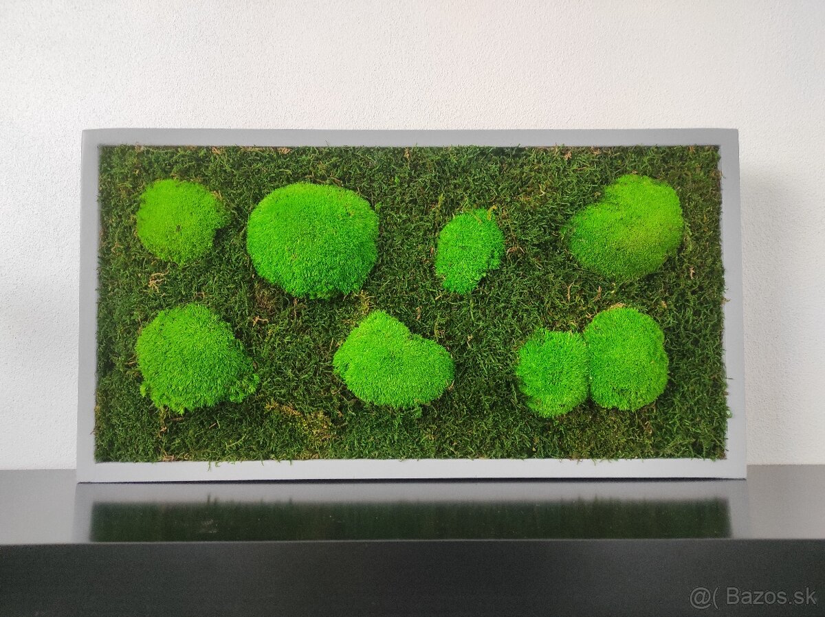 Predám obraz z machu: Obdĺžnik šedý L (65 x 35 cm)