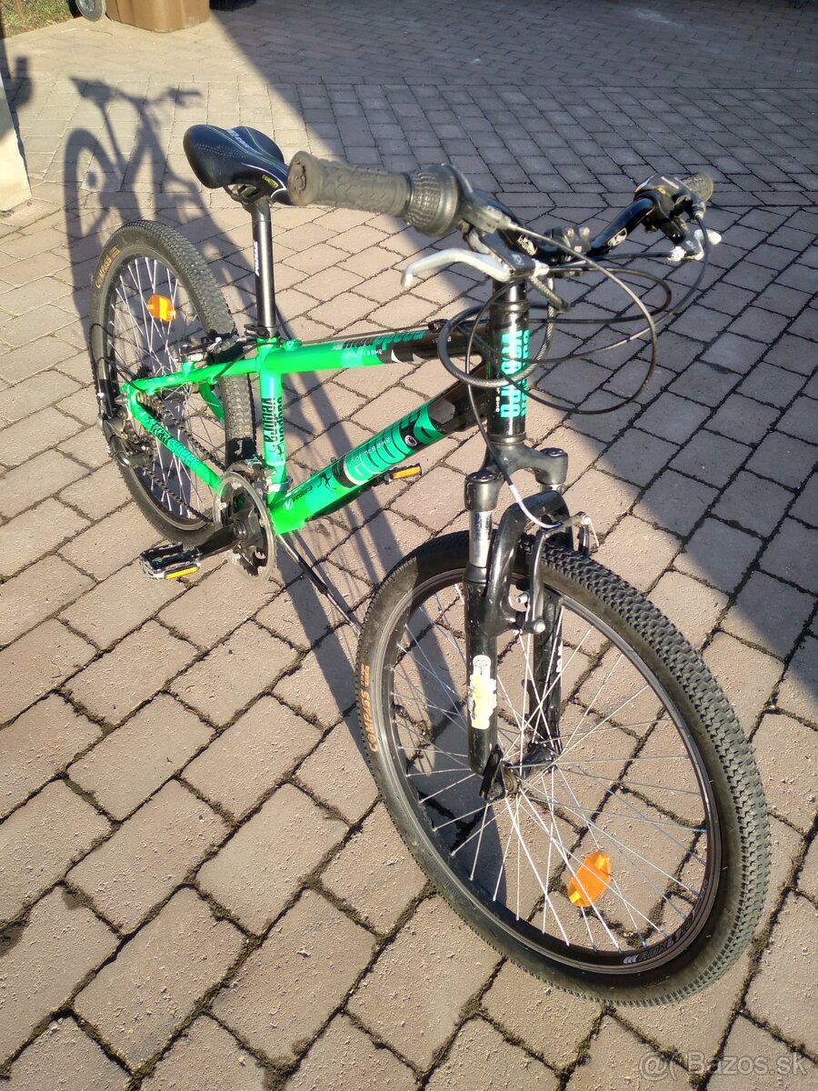 MTB VEDORA 24