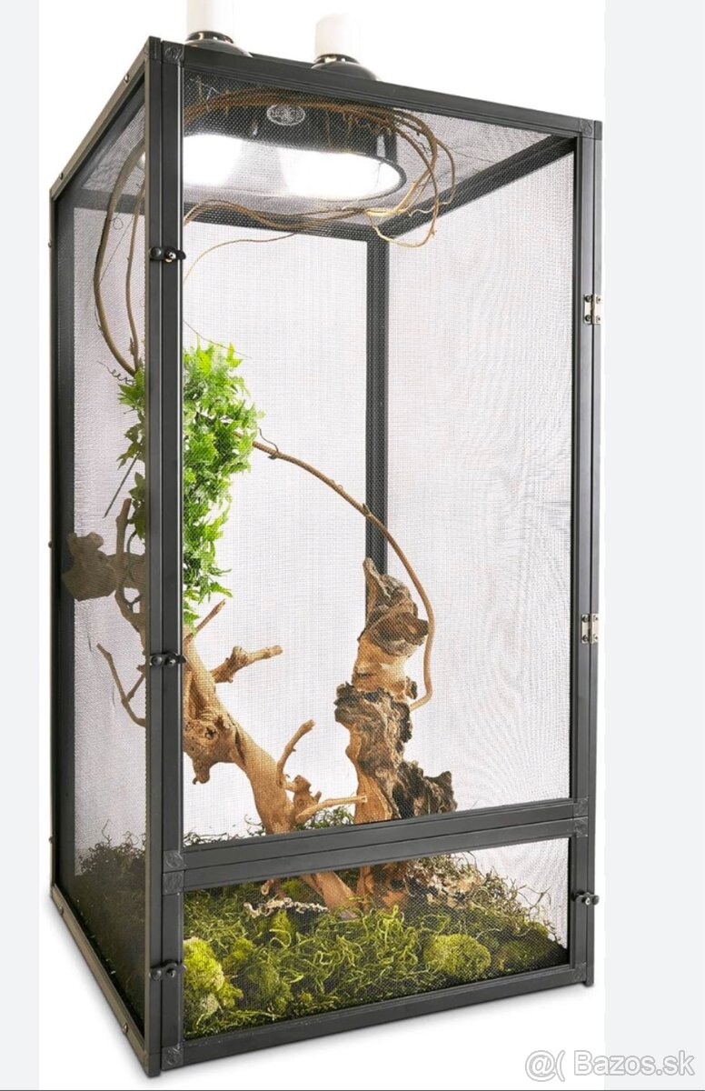 Chameleon kit terarium