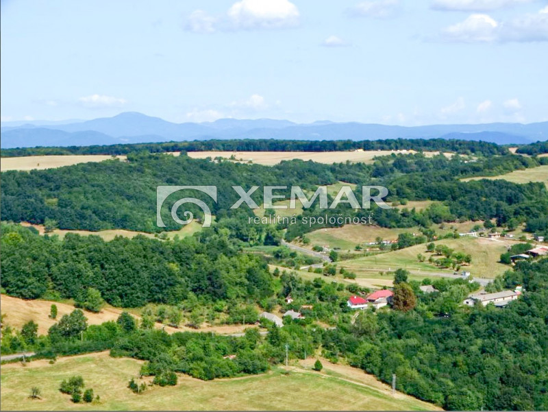 Predaj zrubu na polosamote v obci Rykynčice