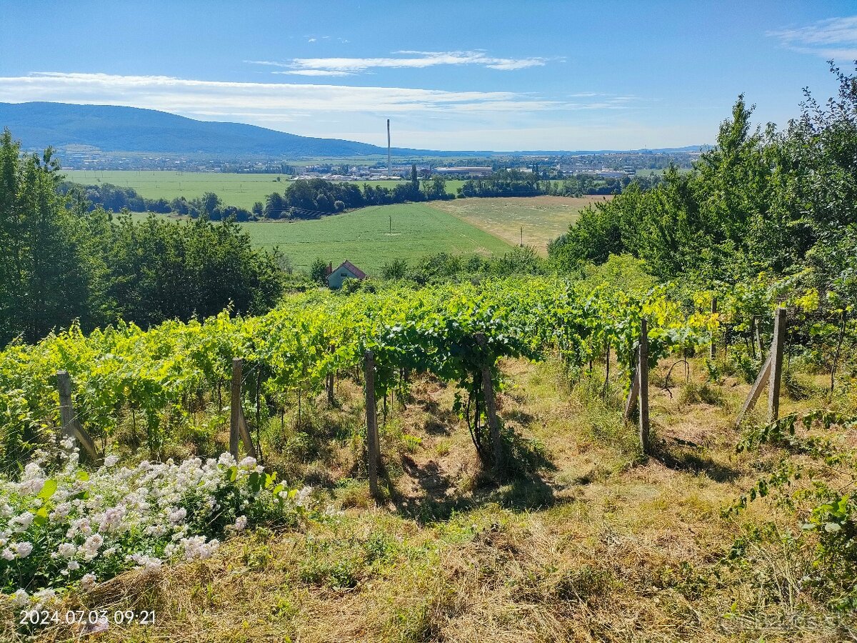 Vinica Zlaté Moravce 1500m²