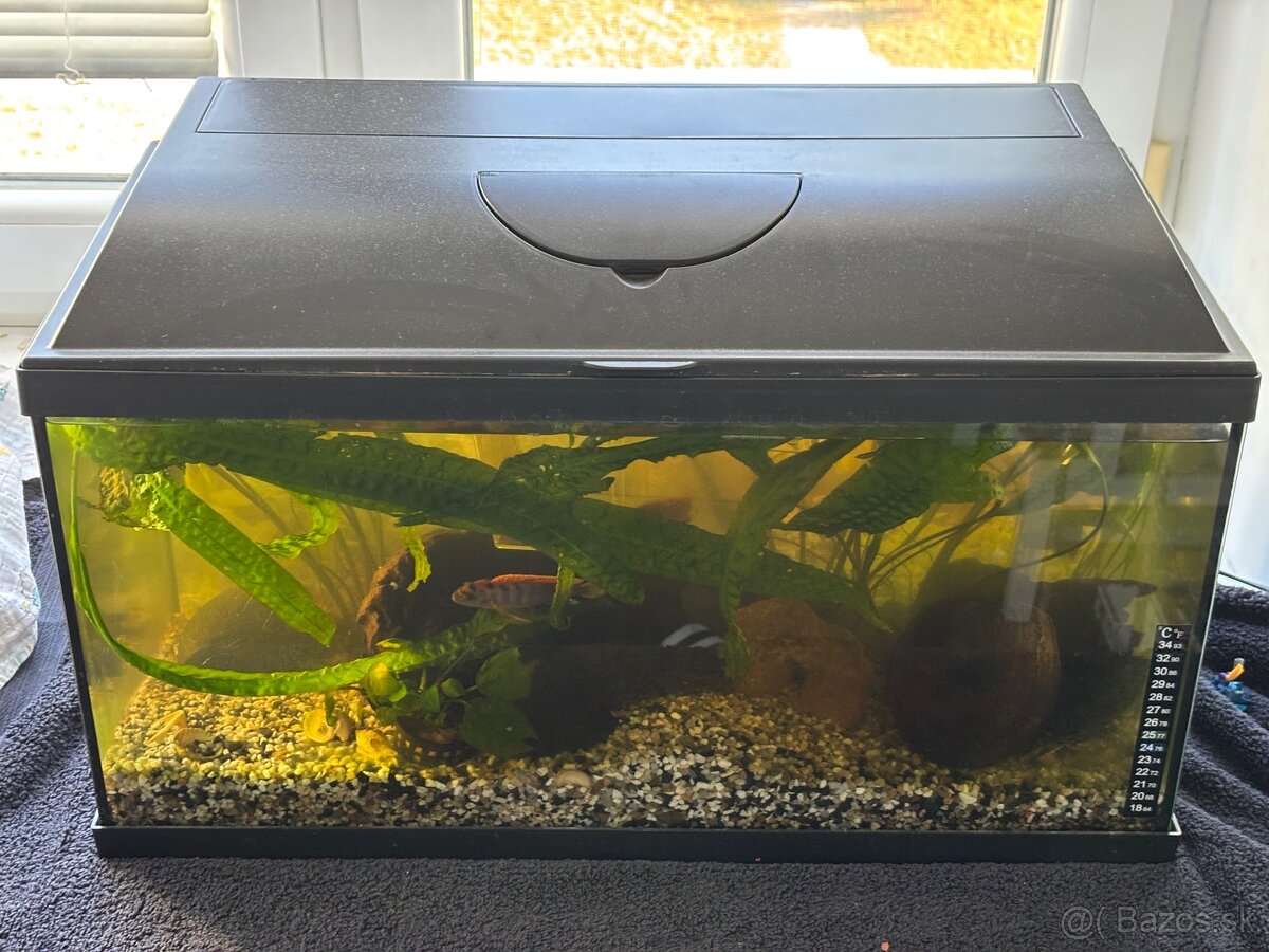 Komplet Akvarium 50L