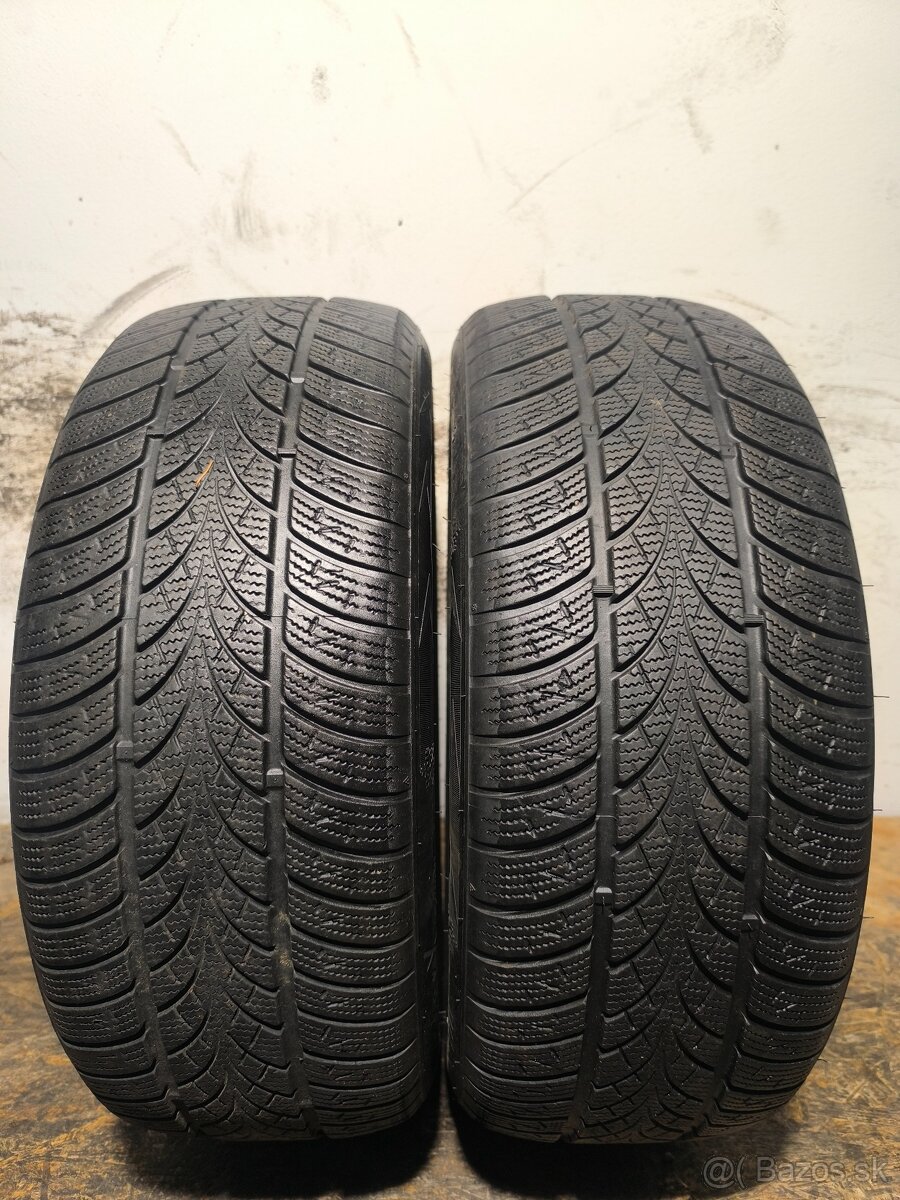 225/55 R17 Zimné pneumatiky Triangle Winter X 2 kusy