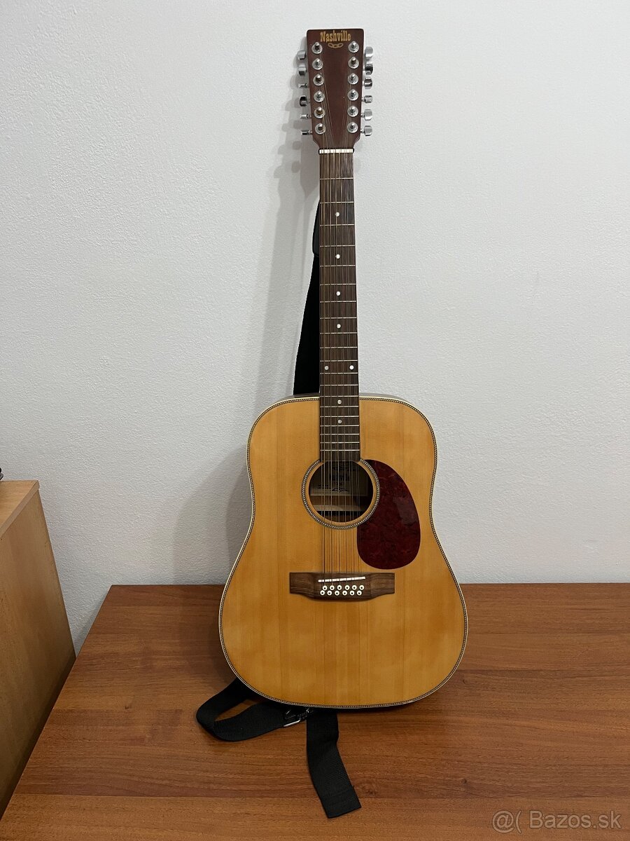 12strunova gitara