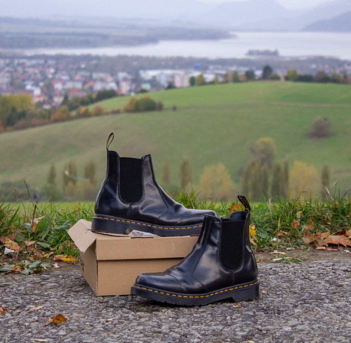 Dr. Martens „chelsea”