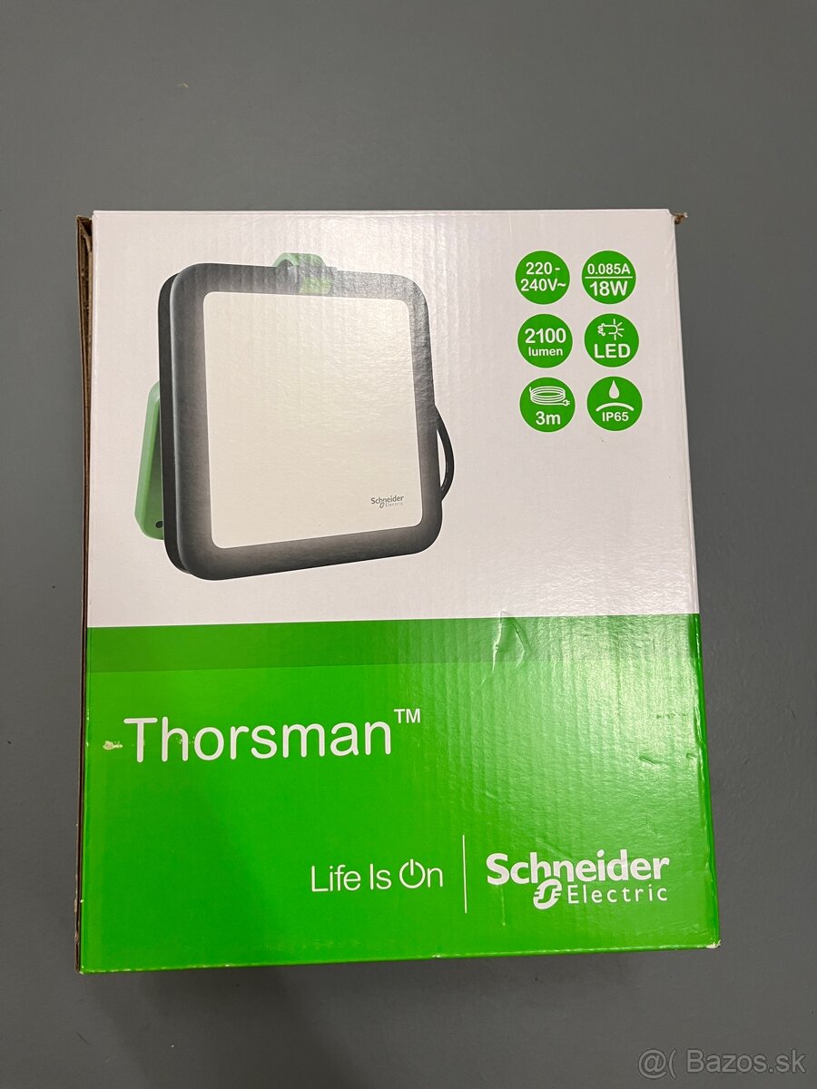 Pracovne svietidlo Schneider electric Thorsman