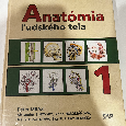 ANATÓMIA 1,2