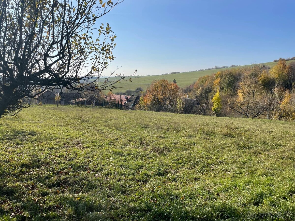 Na predaj pozemok vhodný na sad, záhradku v Starej Turej,Súš