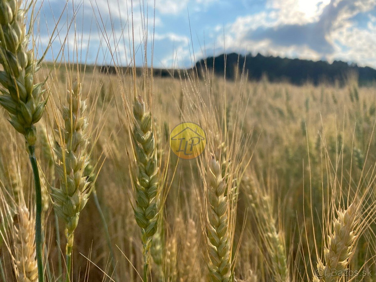 Pozemok na predaj - Nemešany