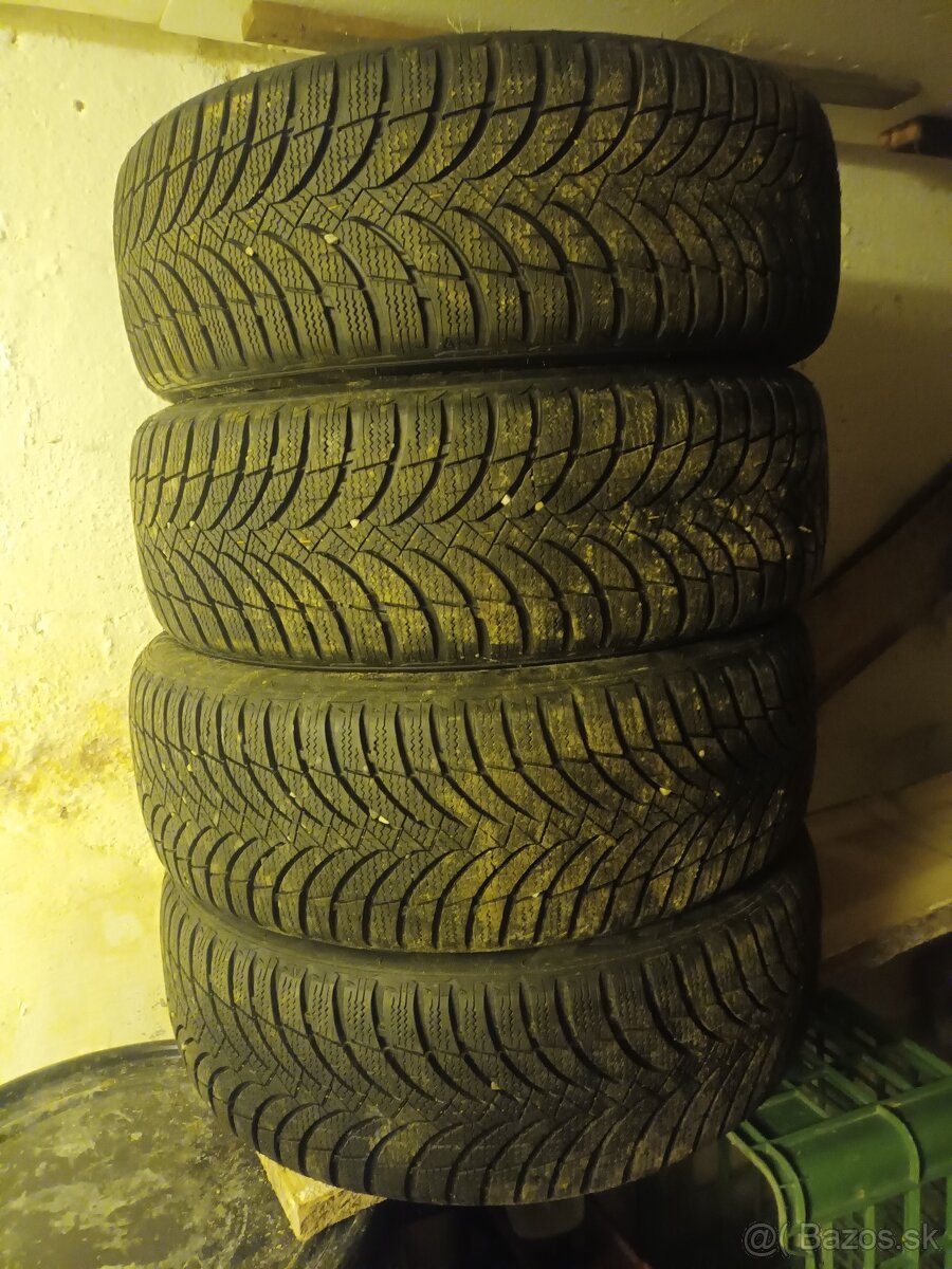 Nexen zimné 195/55r16