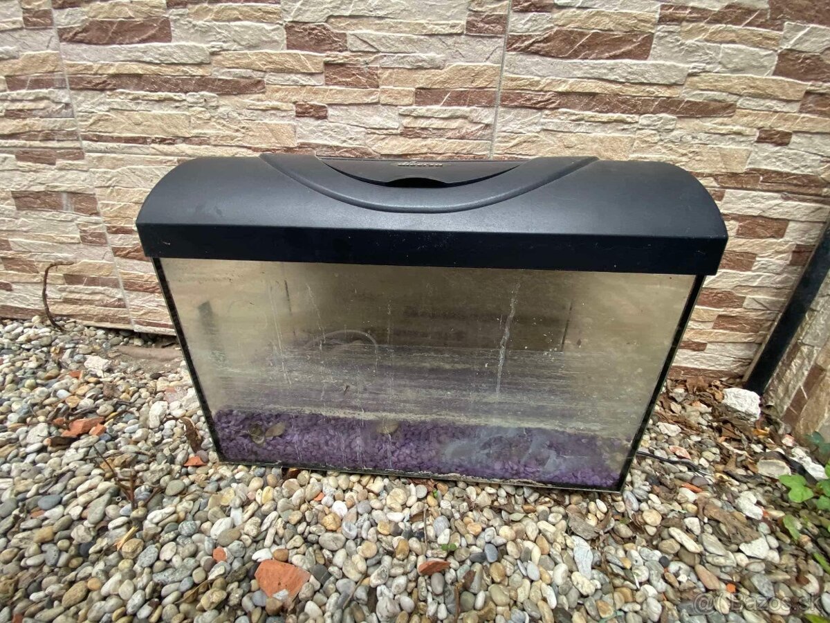 Aquarium Diversa 50x25