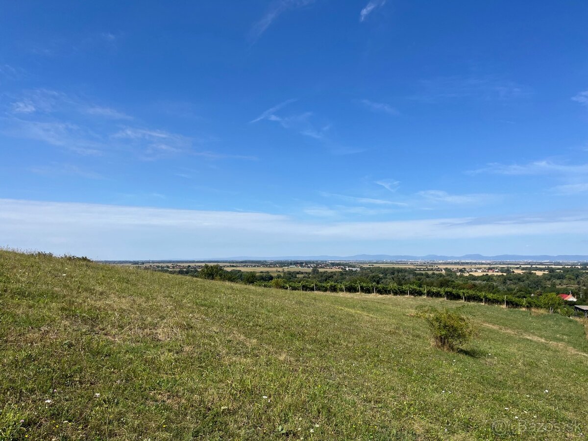 Vinohrady nad Váhom 900m2