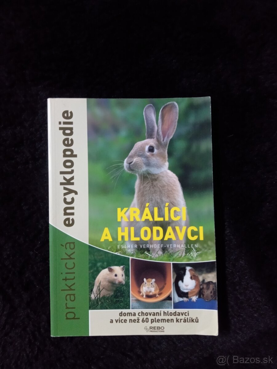 Králiky a hlodavce