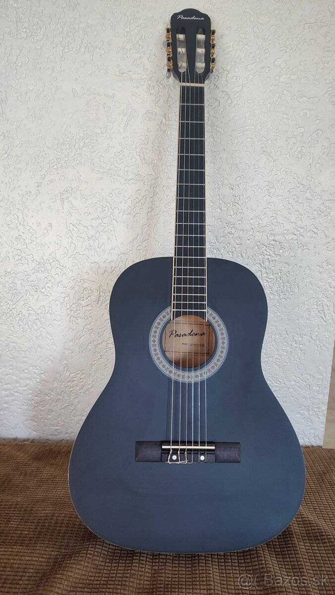 Gitara Pasadena SC041 3/4