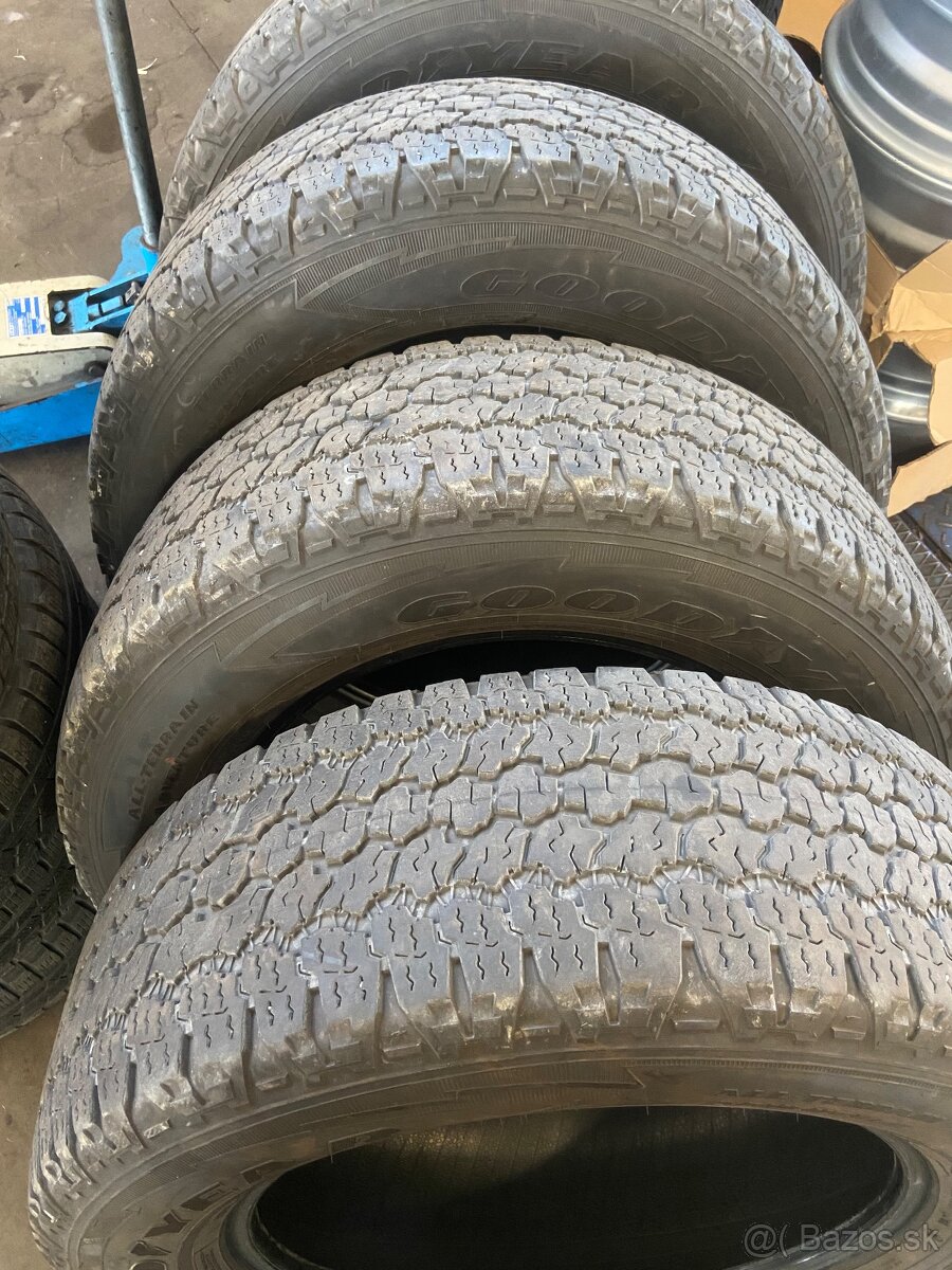 255/65 R19