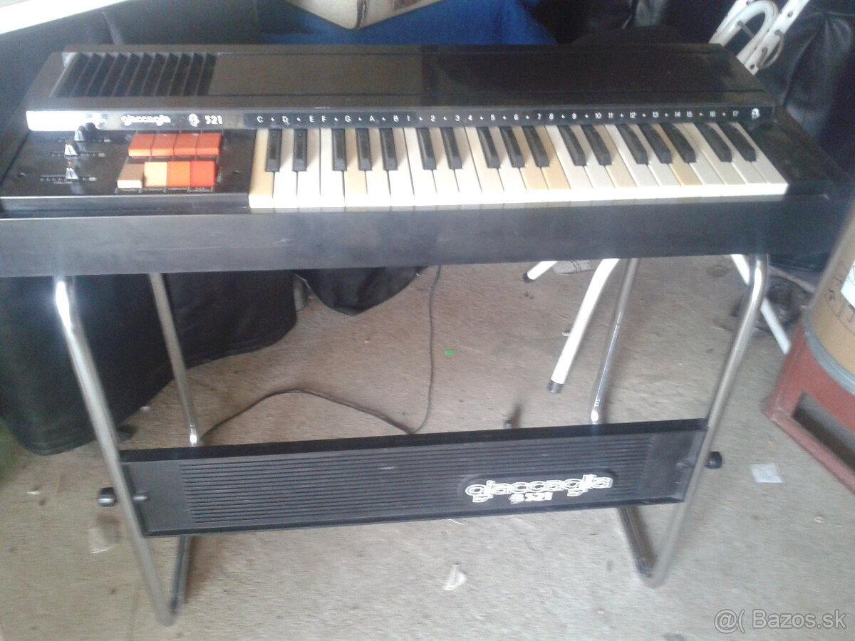 Organ glaciola+ Casio