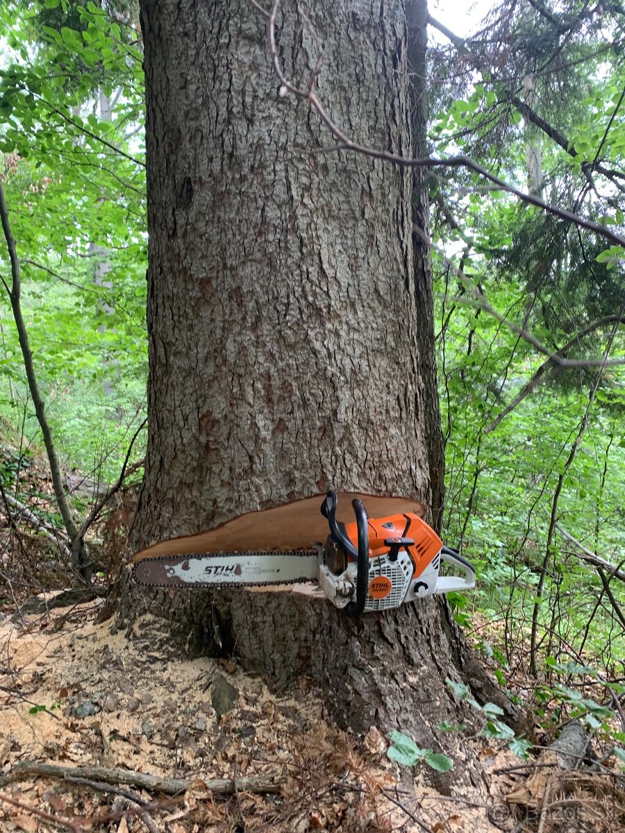 Stihl ms 500i