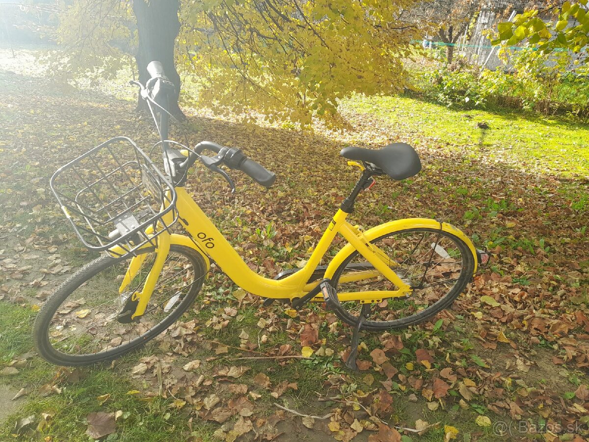 Ofo bike