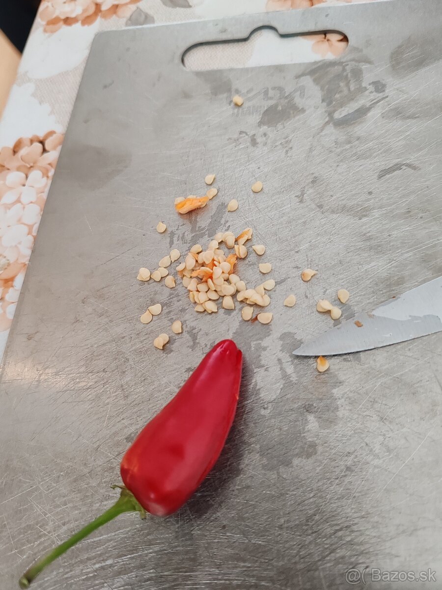 Chilli semienka